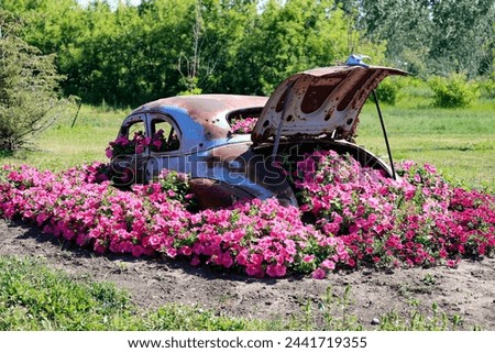 A horizontal photo of a old car surrounded by flowers.