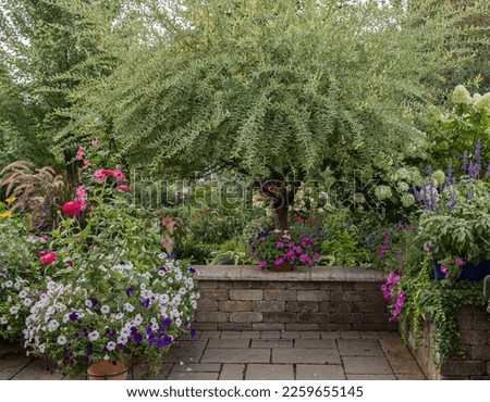 Horizontal photo of a peaceful terrace garden surrounded by incredible foliage and flowers. A wild Japanese ornamental willow tree is the focal point of this beautiful garden terrace. 