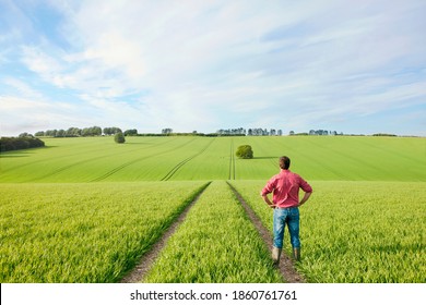 A horizontal rear view of a Farmer standing in a vast farm field while keeping hands on his hips