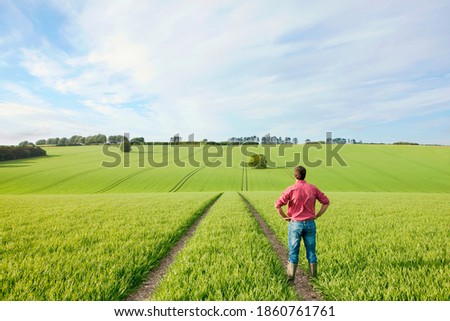 Similar – Foto Bild Hand voll frisch gepflückter Waldpilze