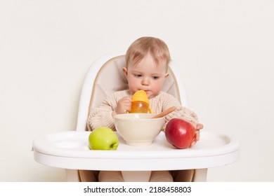 Horizontal shot of adorable infant baby wearing beige sweater sitting in a child's chair, isolated on a white background, toddler kid drinking water, looking and touching red apple.