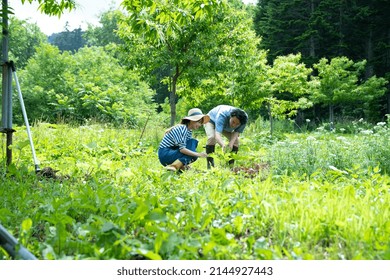 A horizontal shot of Couple Living in the Countryside