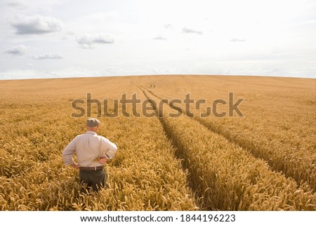 Horizontal shot of a farmer standing in wheat field under the cloudy sky.
