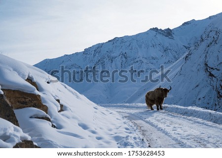 Similar – Image, Stock Photo The valley Environment