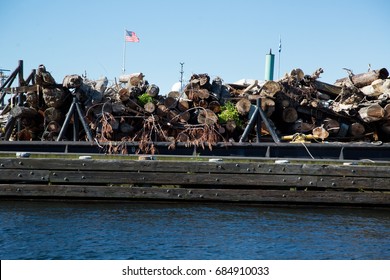 Horizontal side perspective of collected garbage of dead tree logs and storm debris  washed into lake and piled on wood dock platform at marina harbor above water in industrial waterway port scene