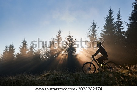 Horizontal snapshot of man riding his bike in the mountains in early foggy morning. Sun beams get through wall of evergreen spruces and enlight silhouette of cyclist. Concept of mountains ride