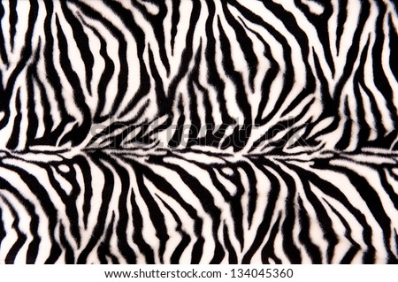 Horizontal striped zebra pattern with curves and lines