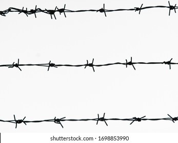 Horizontal thorn fence image. Barbed wire on white background. - Shutterstock ID 1698853990