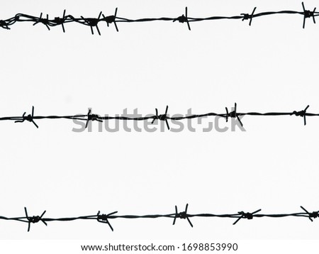 Horizontal thorn fence image. Barbed wire on white background.