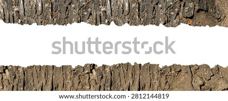 Horizontal Tree Bark Border Frame with Rough Natural Wood Texture Isolated on White Background