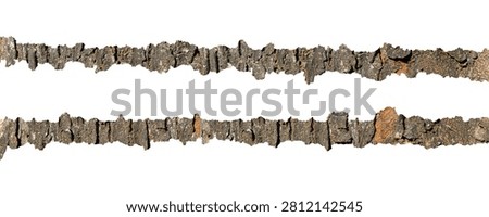 Horizontal Tree Bark Border Strips with Rough Natural Wood Texture Isolated on White Background