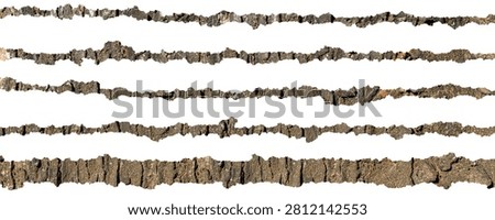 Horizontal Tree Bark Border Strips with Rough Natural Wood Texture Isolated on White Background