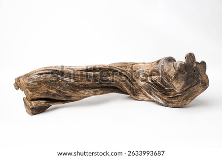 Horizontal twisted forest root with natural texture and organic shape. Isolated wood element from tropical jungle, perfect for nature-themed design and rustic composition.