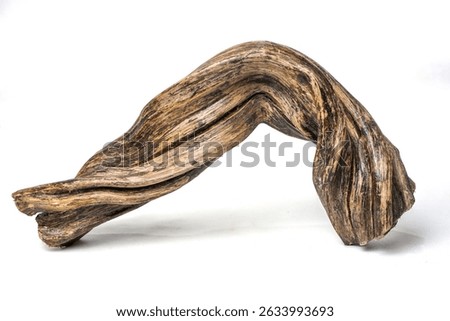 Horizontal twisted forest root with natural texture and organic shape. Isolated wood element from tropical jungle, perfect for nature-themed design and rustic composition.