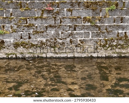 A horizontal view of an aged stone retaining wall with rectangular blocks covered in patches of green and brown moss and small plants, sitting at the
