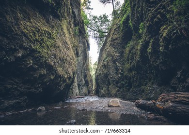 Horizontal view of the cliffs covered in moss