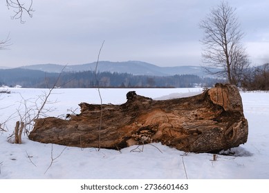 Horizontal view of fallen tree trunk lying on snow-covered field with soft winter background. Minimalist nature scene, copy space. Bavaria, Germany
