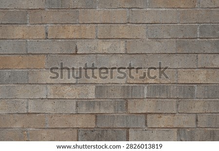 A horizontal close‑up view of a flat brick and mortar wall surface with a typical brickwork pattern. The bricks are varicolored in tan, reddish brown, black and brown, and their faces are porous, uneven and rough. The bricks show chips and cracks, and the mortar is porous and smooth, filling the joints, including a few places where it completely fills the joint between bricks in the same row.