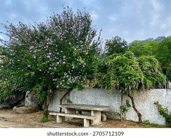 Horizontal view of flowering trees and rustic stone picnic table on the Camino Portugués da Costa