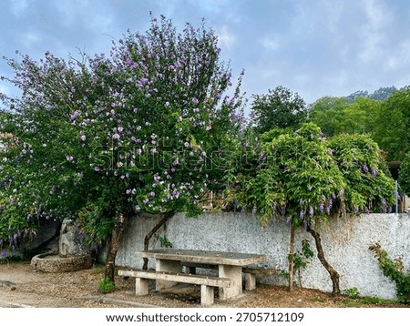 Horizontal view of flowering trees and rustic stone picnic table on the Camino Portugués da Costa