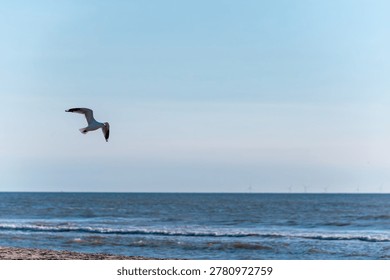 Una vista Horizontal una
