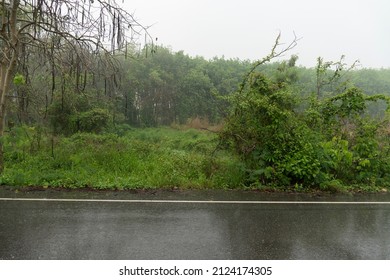 Horizontal view of wet asphalt road in Thailand. Environment of rainy time. and background trees and forest. Under the dark sky.