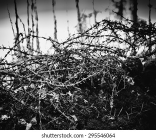 Horizontal War Vintage Black And White Barbed Wire Bokeh Background Backdrop