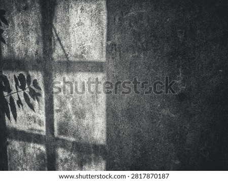 Horizontal wide angle view of old abandoned wooden window with weathered concrete wall background, vintage rustic architecture.