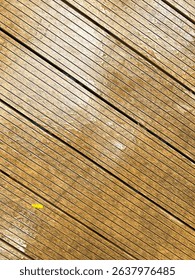 Horizontal wood decking surface texture that looks wet and shiny due to water, with some water drops still visible on the surface.