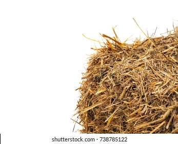 Horizontally bales of cereal straw isolated on white background, agricultural background. Feed and litter for cows, horses, goats and sheep