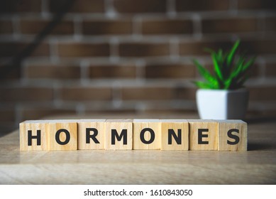 HORMONE word written on wood block, medical concept