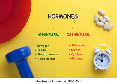 Hormones Anabolism Vs Catabolism Diagram With Dumbbells, Clock, Vitamins End Plate.