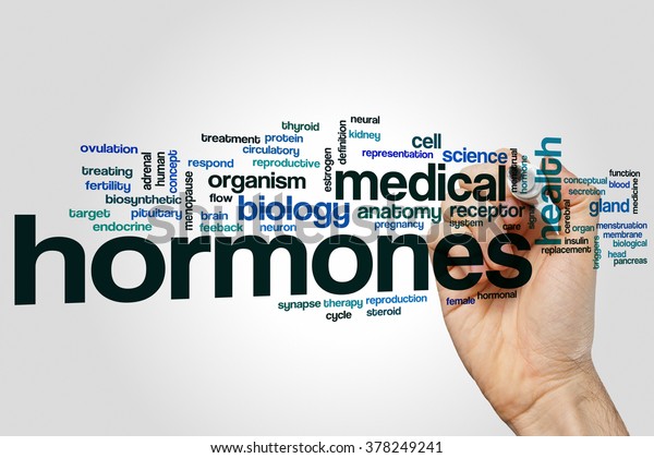 Hormones Word Cloud Concept Stock Photo 378249241 | Shutterstock