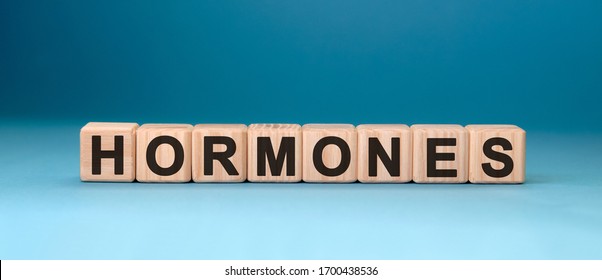 Hormones Word Cube On Blue Background Stock Photo 1700438536 | Shutterstock