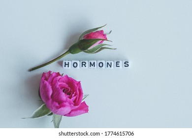 Hormones word cubes on a white background