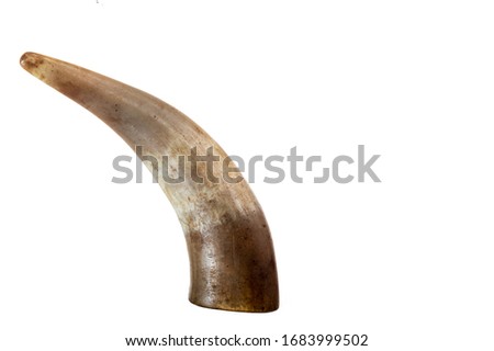 The horn of an animal. Lamb horn on a white background.