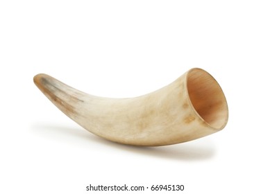 Horn Of A Cow On A White Background Isolated