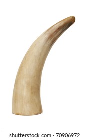 Horn Of A Cow On A White Background Isolated