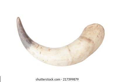 194,145 Cow horn Images, Stock Photos & Vectors | Shutterstock