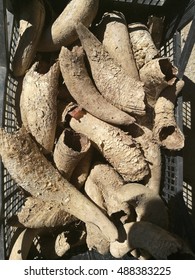 Horn Manure Used In Biodynamic