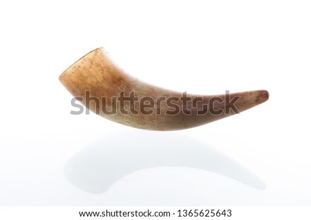 Horn. The horn of a mountain ram. Photo of the horns on a white background. Horn and reflection.