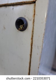 A Hornet Sneaking Out Of The Key Hole In An Old File Cabinet 