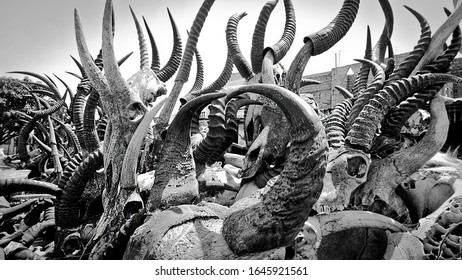 Horns In The Togo Witchcraft Market