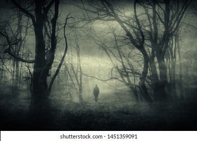 horror forest landscape, surreal haunted woods with scary silhouette at night