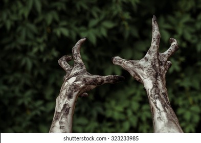 Horror And Halloween Theme: Terrible Zombie Hands Dirty With Black Nails Reach To The Green Leaves, The Walking Dead Apocalypse, First-person View