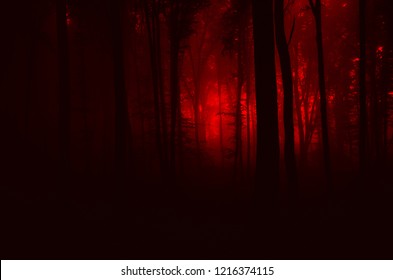 Magical Gate Mysterious Forest Fog Stock Photo (Edit Now) 79269559