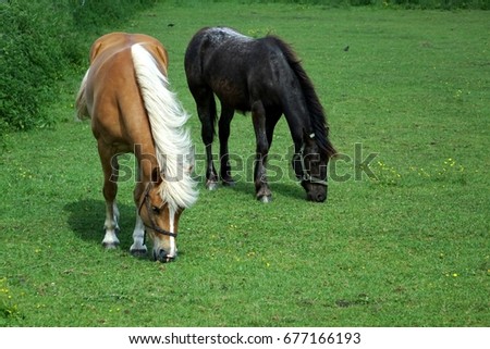 Similar – Image, Stock Photo Moldy Environment Nature