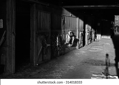 Horse Barn