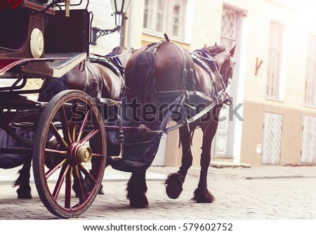 Horse and a beautiful old carriage in old town. 
