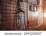 Horse bridle hanging on the wall of an equestrian stable, brown brick walls, warm sunlight in the style of an equestrian stable